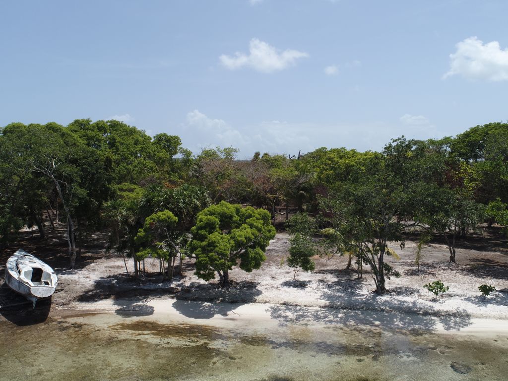 Listing ID: URE0647, David's Beach Utila, Bay Islands, HN - Sunset Shore, Lot 16, Photo #