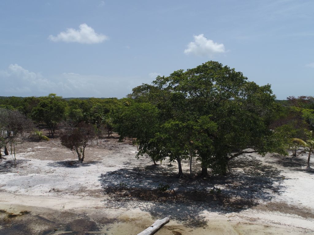 Listing ID: URE0648, David's Beach Utila, Bay Islands, HN - Sunset Shore, Lot 19, Photo #
