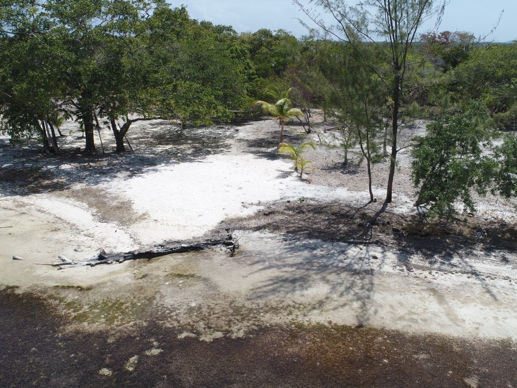 Listing ID: URE0648, David's Beach Utila, Bay Islands, HN - Sunset Shore, Lot 19, Photo #