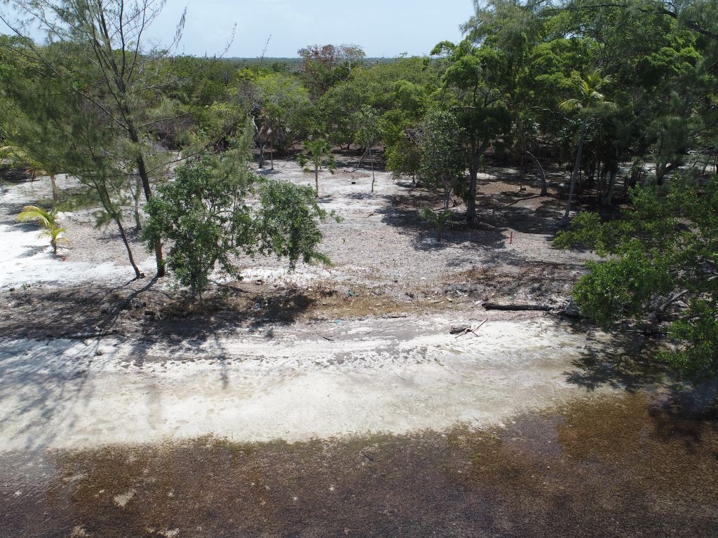 Listing ID: URE0648, David's Beach Utila, Bay Islands, HN - Sunset Shore, Lot 19, Photo #