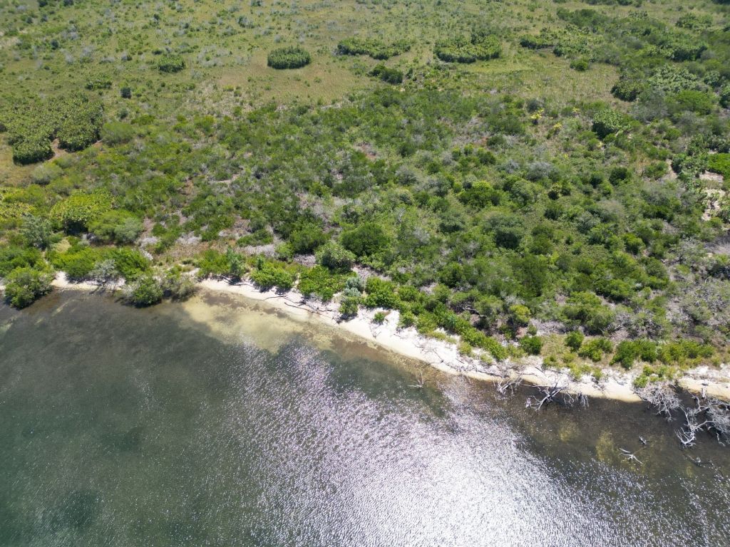 Listing ID: URE0655, West End Utila, Bay Islands, HN - West End 40+ Acres With Beachfront, Photo #