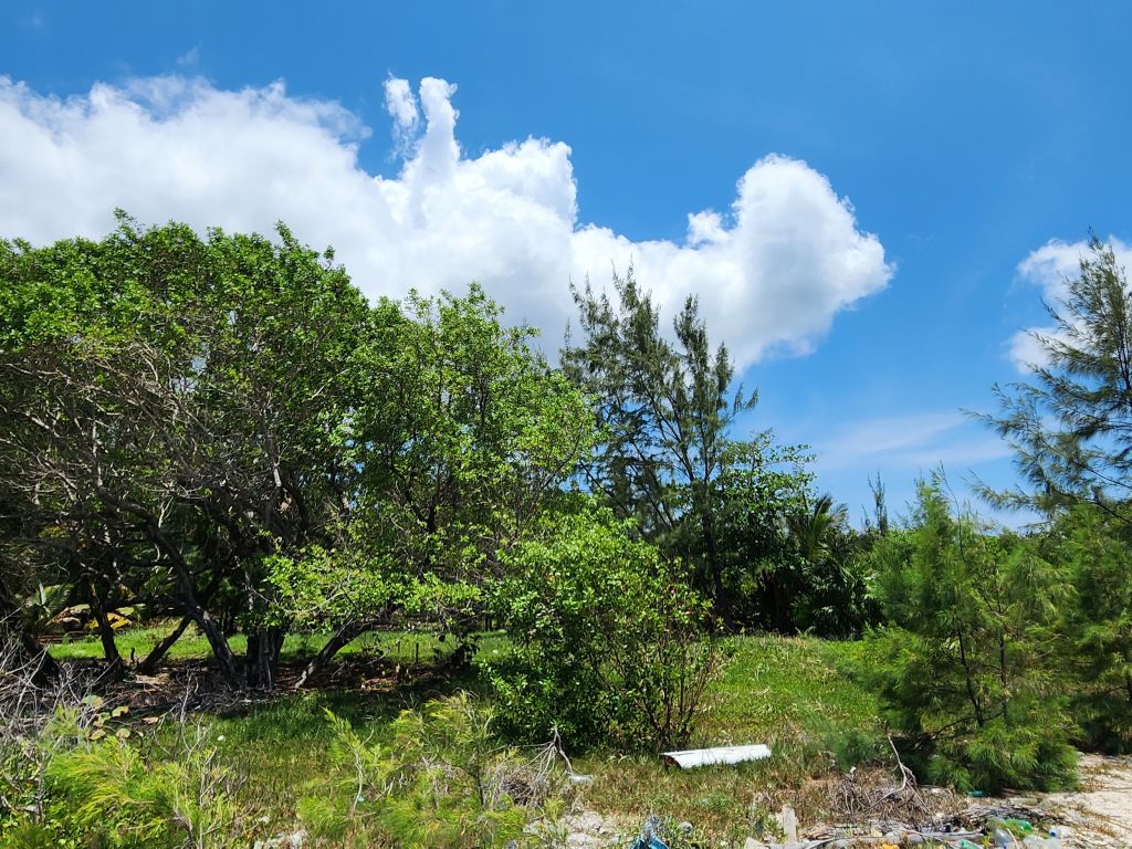 Listing ID: URE0656, Silver Gardens Utila, Bay Islands, HN - Silver Gardens Beachfront Lot #16, Photo #