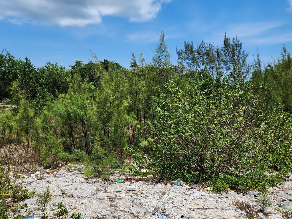 Listing ID: URE0656, Silver Gardens Utila, Bay Islands, HN - Silver Gardens Beachfront Lot #16, Photo #