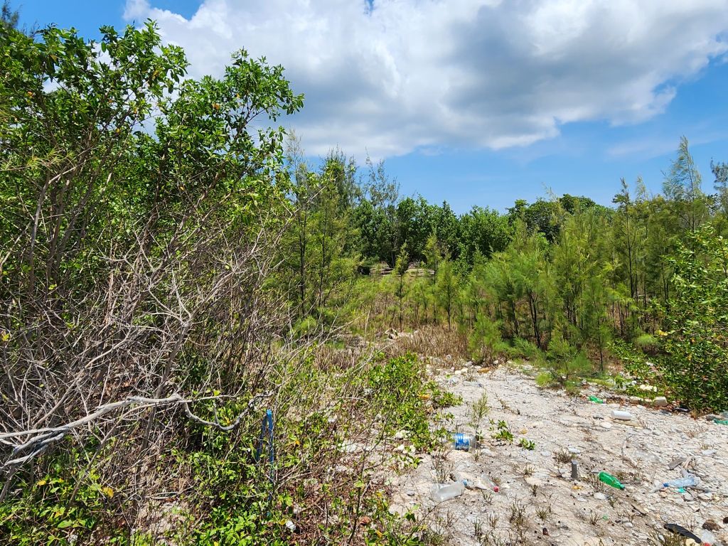 Listing ID: URE0656, Silver Gardens Utila, Bay Islands, HN - Silver Gardens Beachfront Lot #16, Photo #