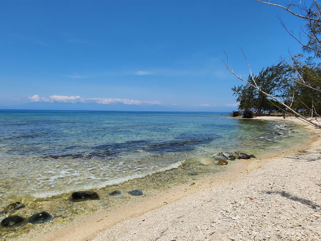 Listing ID: URE0656, Silver Gardens Utila, Bay Islands, HN - Silver Gardens Beachfront Lot #16, Photo #