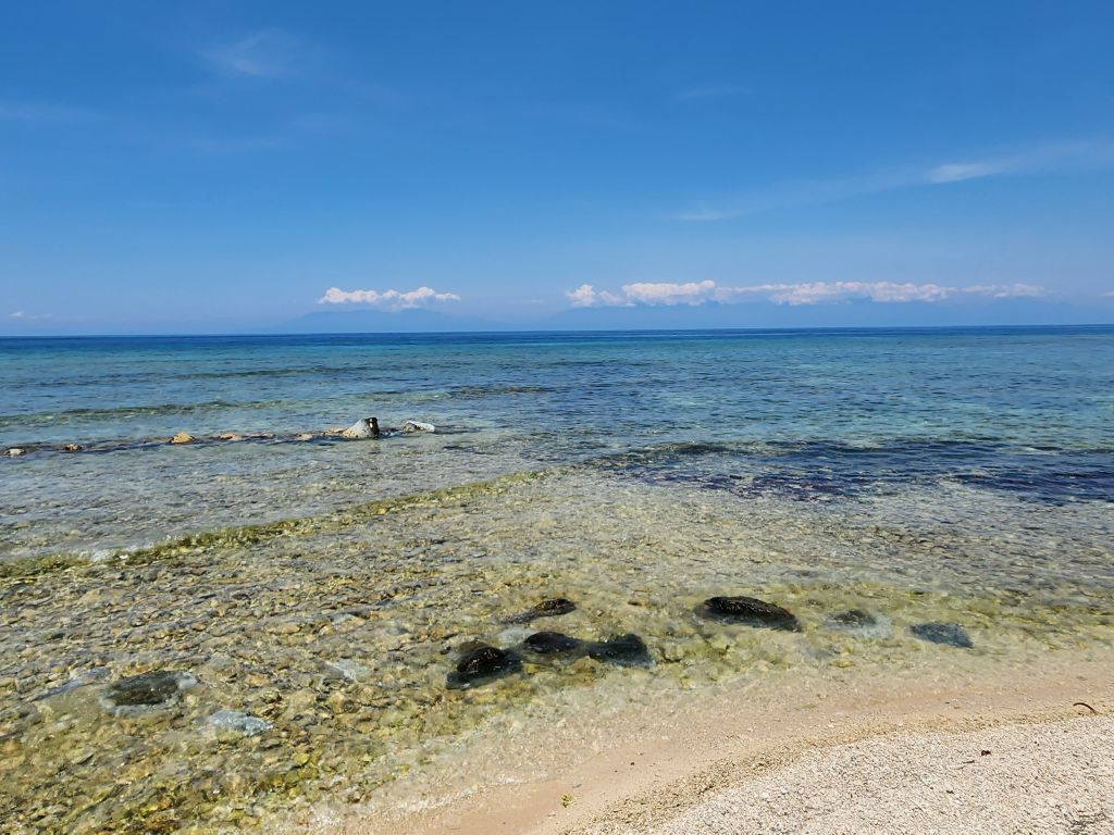 Listing ID: URE0656, Silver Gardens Utila, Bay Islands, HN - Silver Gardens Beachfront Lot #16, Photo #