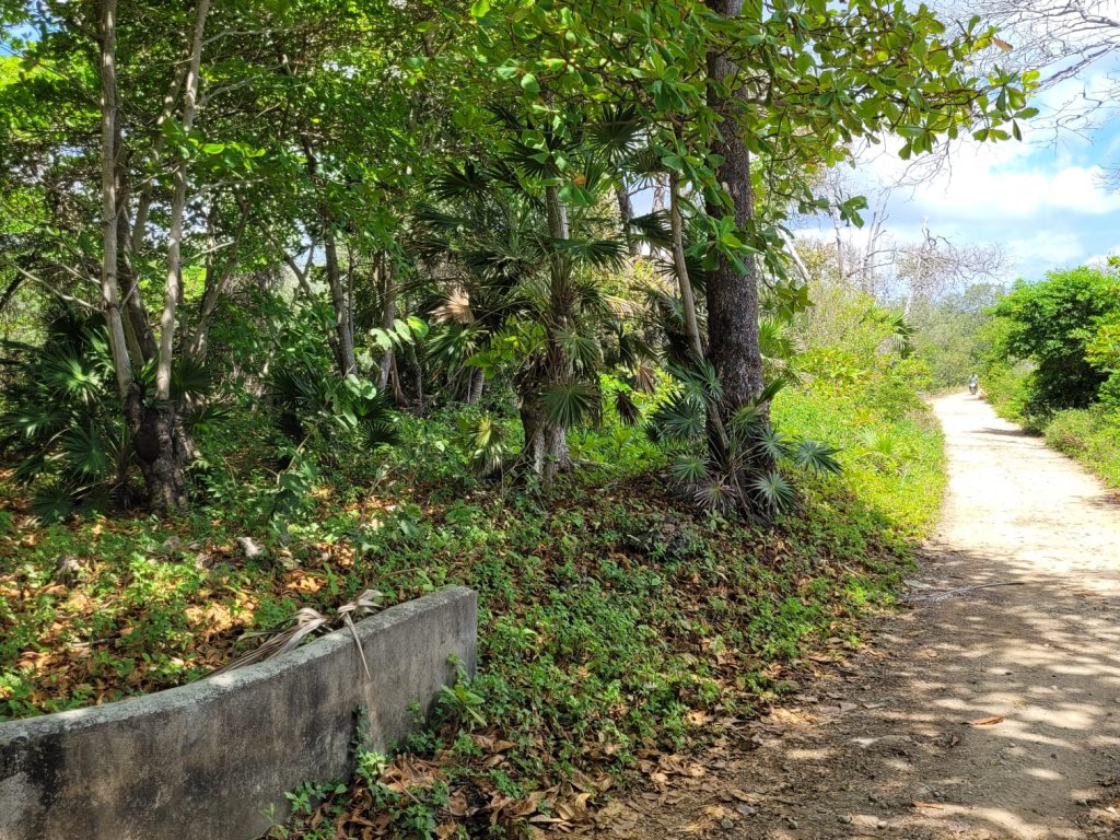 Lot For sale - Utila, Bay Islands - Listing ID: URE0659 - Photo