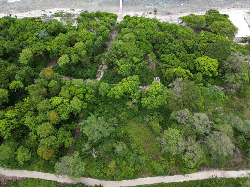 Listing ID: URE0661, Big Rock Utila, Bay Islands, HN - Big Rock Oceanfront Lot 10, Photo #