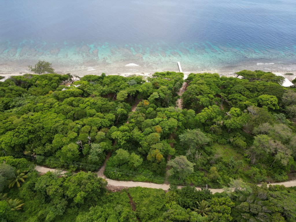 Listing ID: URE0661, Big Rock Utila, Bay Islands, HN - Big Rock Oceanfront Lot 10, Photo #