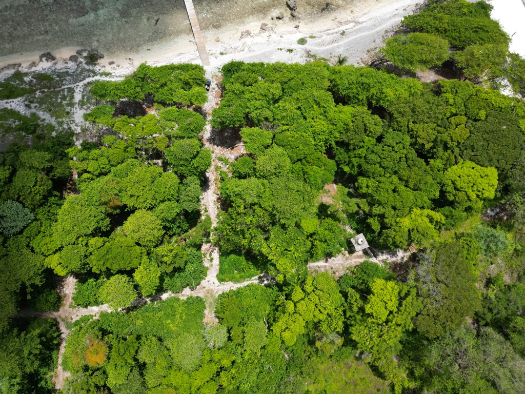 Listing ID: URE0662, Big Rock Utila, Bay Islands, HN - Big Rock Oceanfront Lot 11, Photo #
