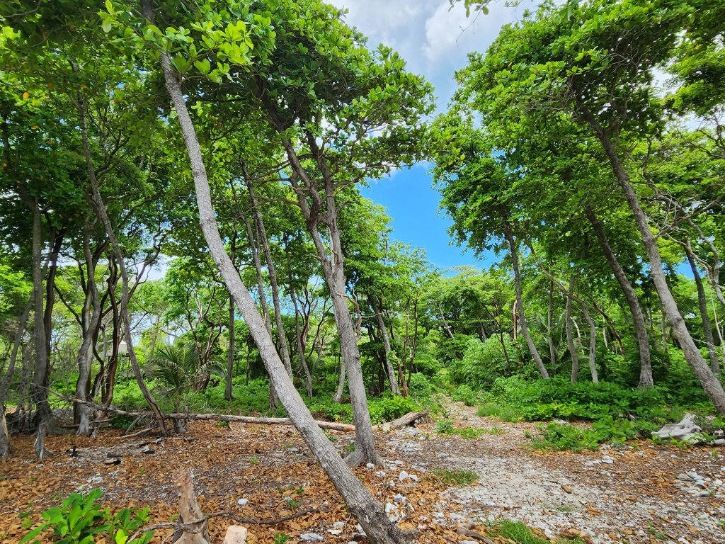 Listing ID: URE0662, Big Rock Utila, Bay Islands, HN - Big Rock Oceanfront Lot 11, Photo #