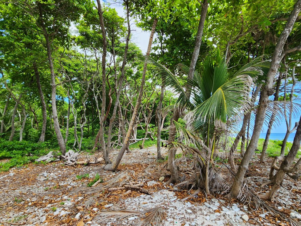 Listing ID: URE0663, Big Rock Utila, Bay Islands, HN - Big Rock, Oceanfront, Lot 13, Photo #