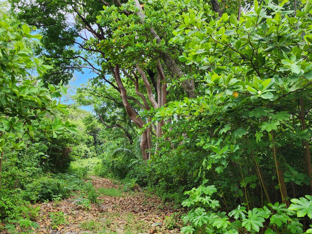 Listing ID: URE0663, Big Rock Utila, Bay Islands, HN - Big Rock, Oceanfront, Lot 13, Photo #