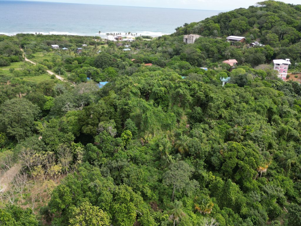 Listing ID: URE0669, Pumpkin Hill Utila, Bay Islands, HN - Bat Cave Splendor, Photo #