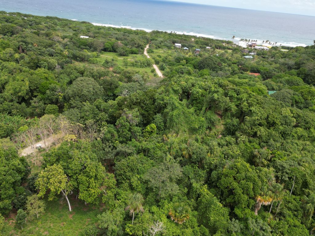 Land Sold - Utila, Bay Islands - Listing ID: URE0669 - Photo