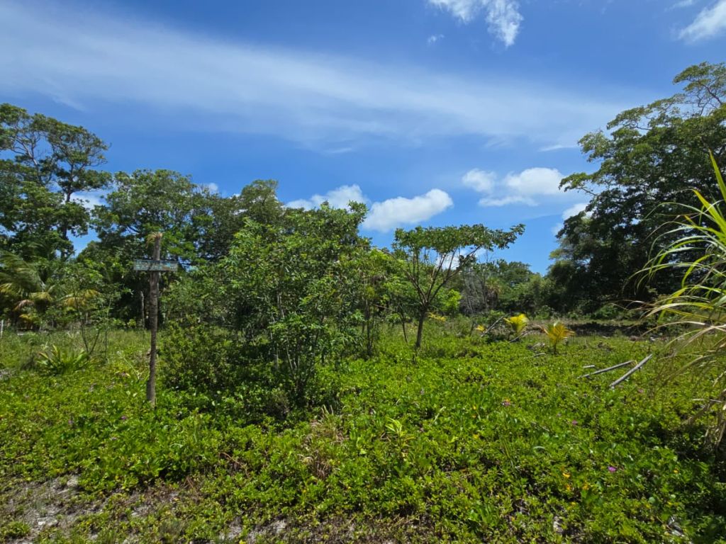 Listing ID: URE0679, The Well Utila, Bay Islands, HN - The Well Oceanview Lot #2, Photo #