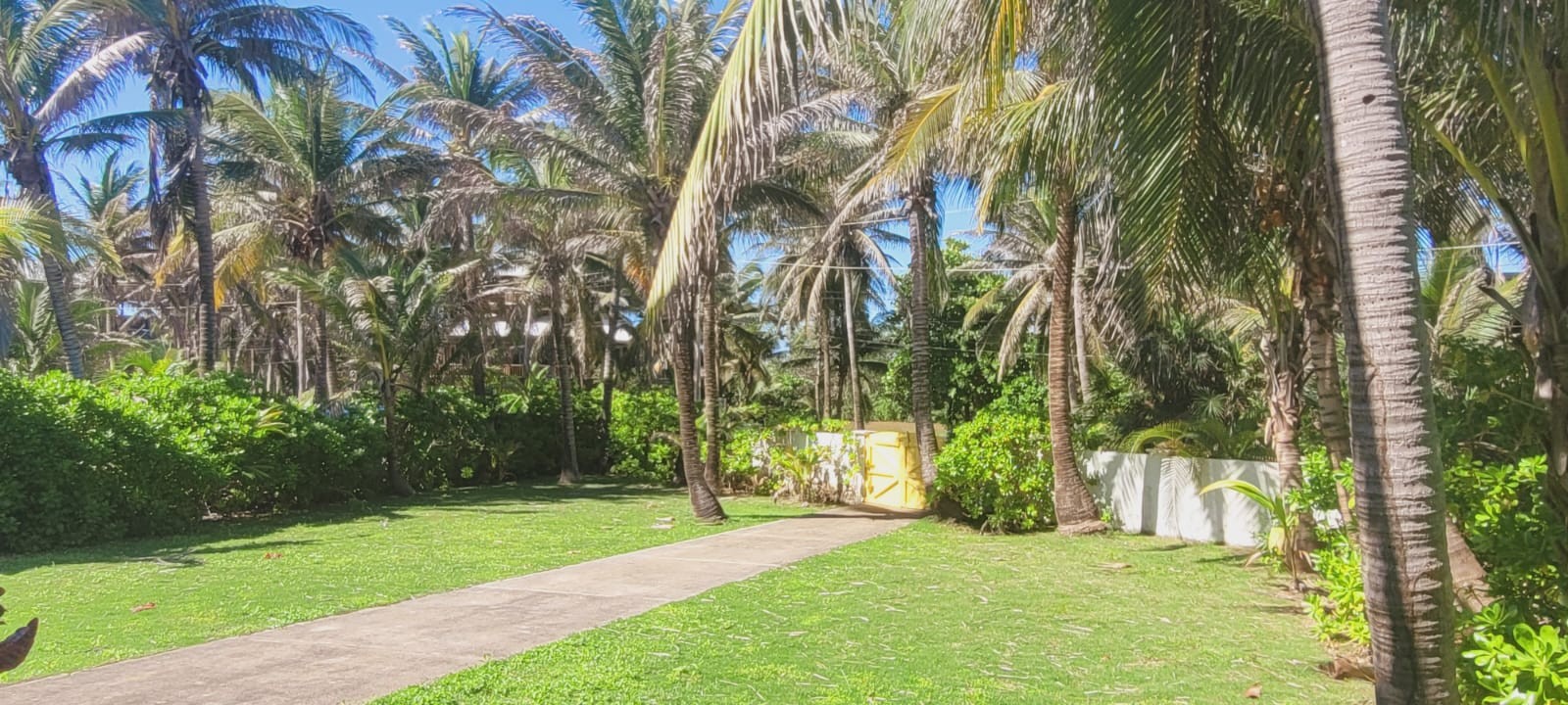 Listing ID: URE0690, Tradewinds Utila, Bay Islands, HN - Wind Tryst Tropical Home, Photo #