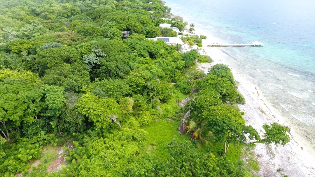 Listing ID: URE0691, Big Rock Utila, Bay Islands, HN - Big Rock oceanfront and back Lot with covered boat slip with bodega, Photo #