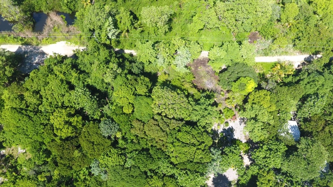 Listing ID: URE0691, Big Rock Utila, Bay Islands, HN - Big Rock oceanfront and back Lot with covered boat slip with bodega, Photo #