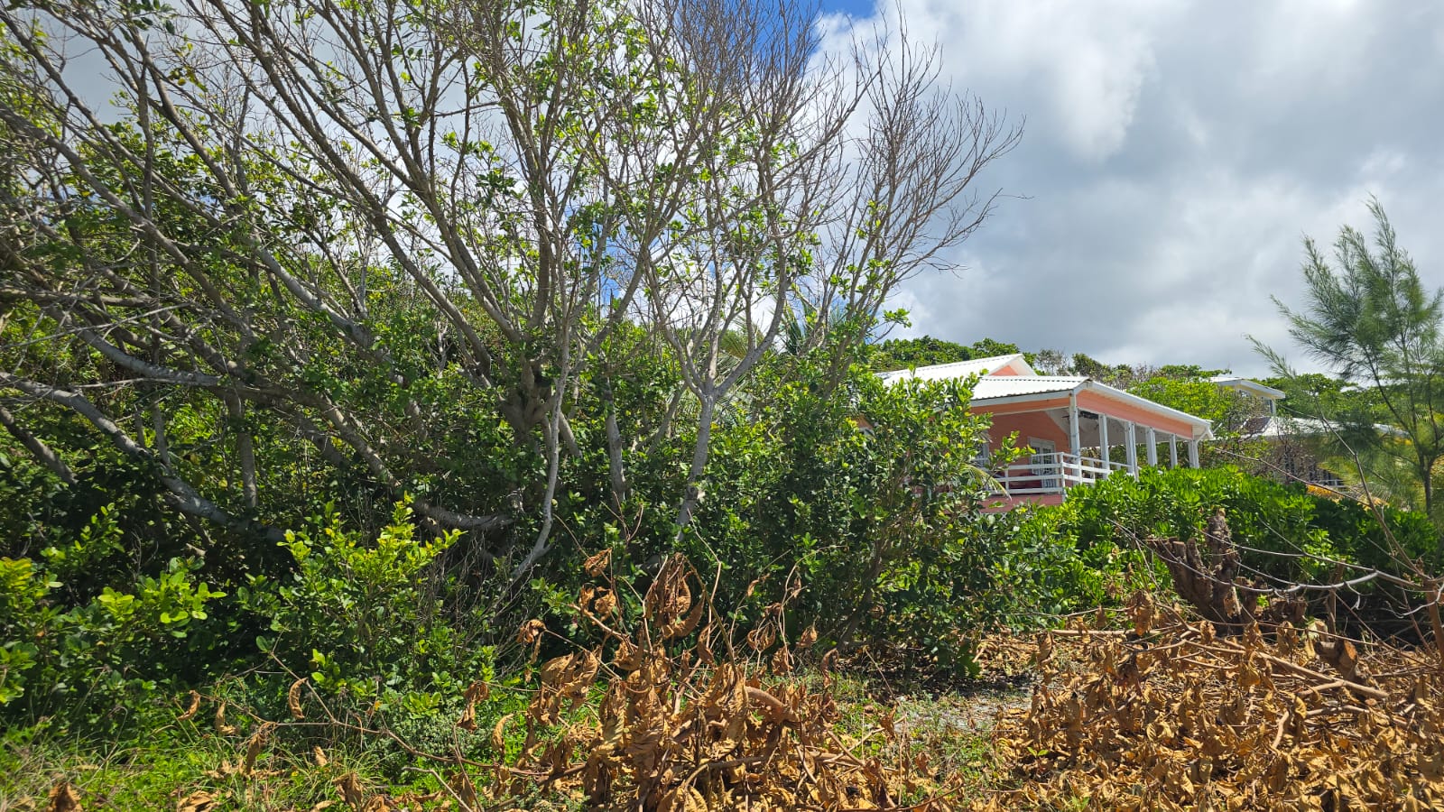 Listing ID: URE0691, Big Rock Utila, Bay Islands, HN - Big Rock oceanfront and back Lot with covered boat slip with bodega, Photo #