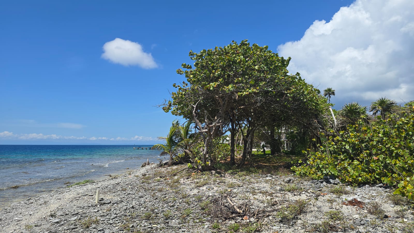 Listing ID: URE0691, Big Rock Utila, Bay Islands, HN - Big Rock oceanfront and back Lot with covered boat slip with bodega, Photo #
