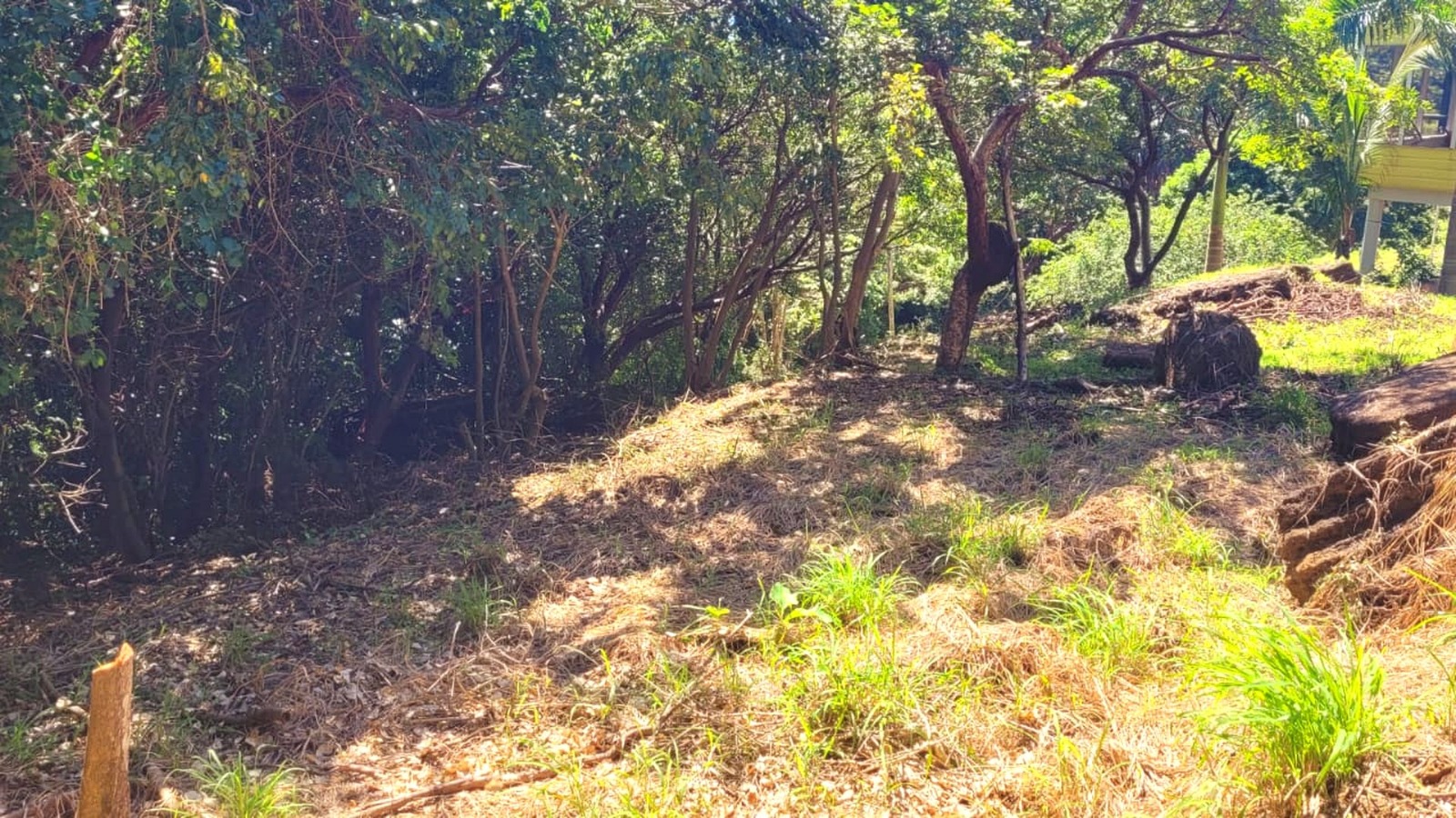Listing ID: URE0698, Pumpkin Hill Utila, Bay Islands, HN - South View Pumpkin Hill Lot, Photo #
