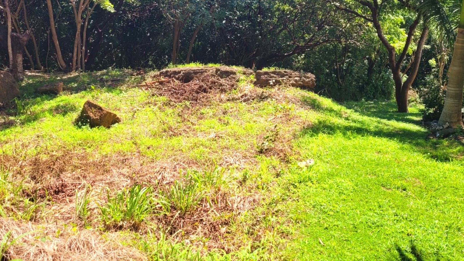 Listing ID: URE0698, Pumpkin Hill Utila, Bay Islands, HN - South View Pumpkin Hill Lot, Photo #