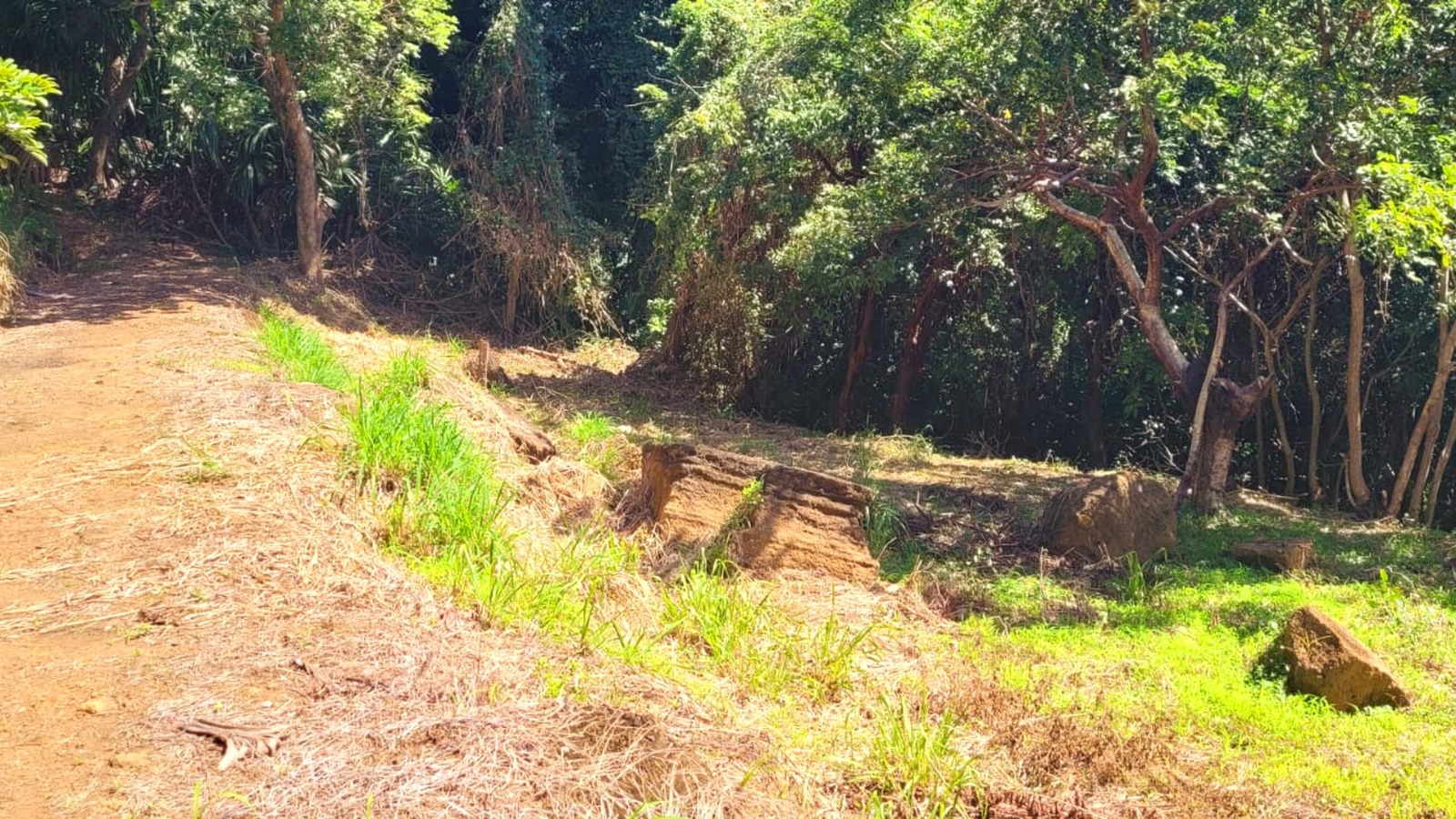 Listing ID: URE0698, Pumpkin Hill Utila, Bay Islands, HN - South View Pumpkin Hill Lot, Photo #