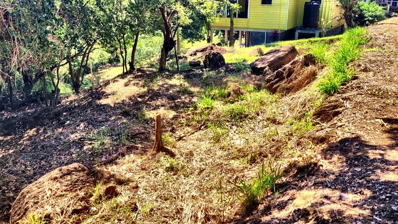 Listing ID: URE0698, Pumpkin Hill Utila, Bay Islands, HN - South View Pumpkin Hill Lot, Photo #