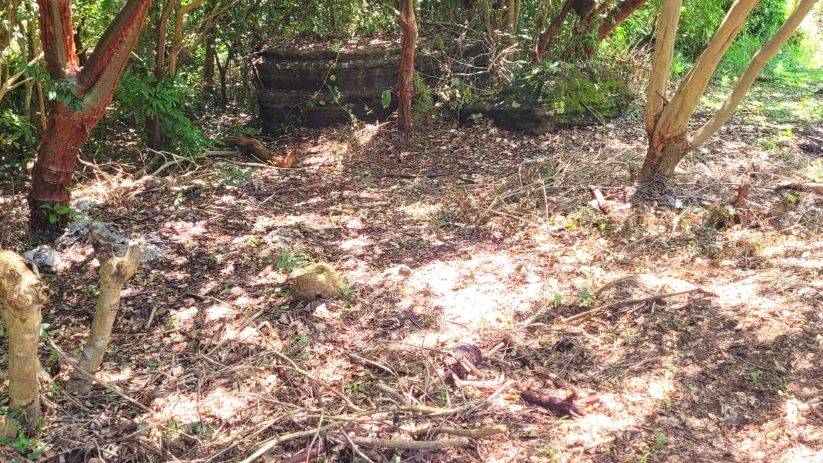Listing ID: URE0698, Pumpkin Hill Utila, Bay Islands, HN - South View Pumpkin Hill Lot, Photo #