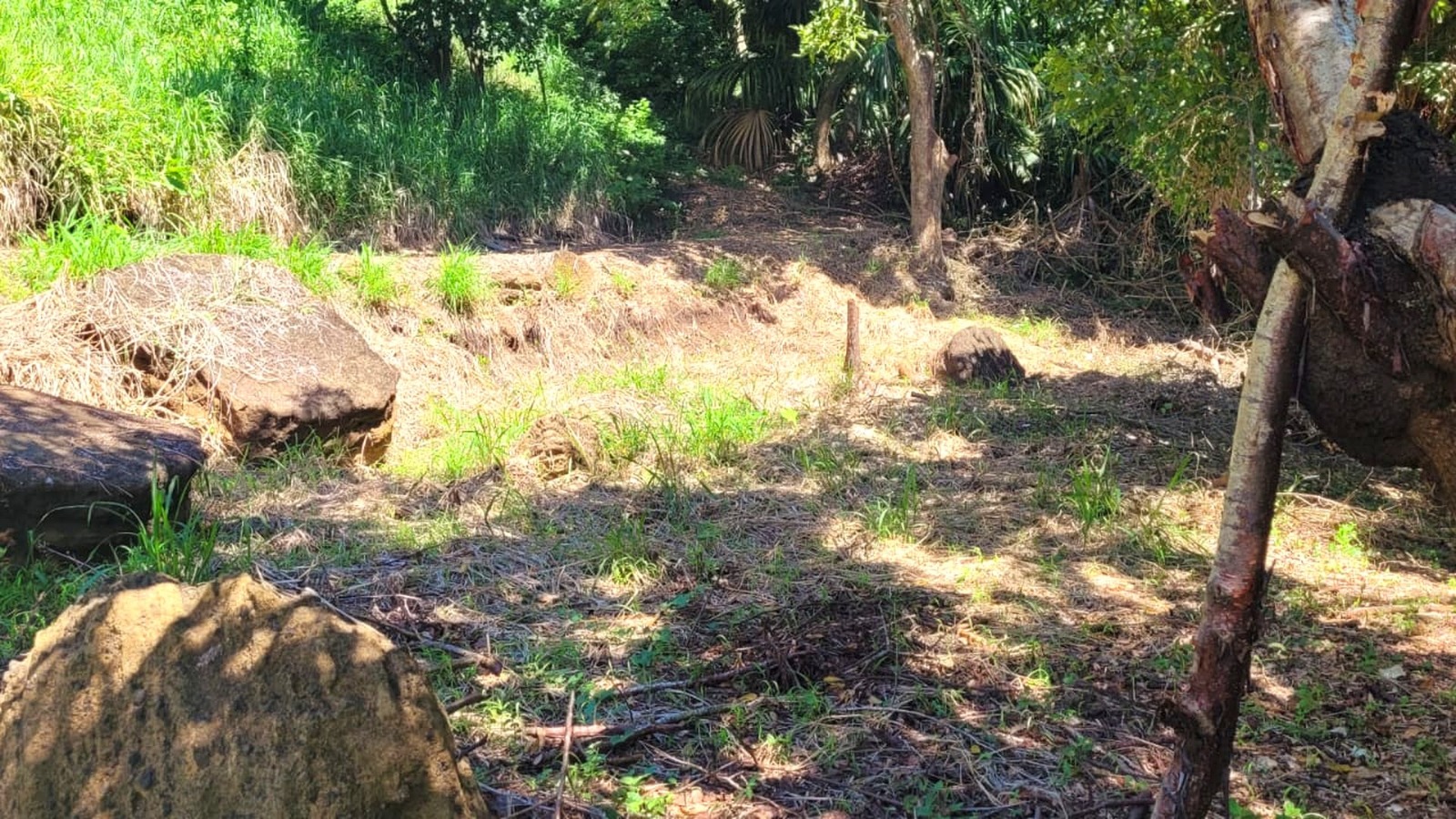 Listing ID: URE0698, Pumpkin Hill Utila, Bay Islands, HN - South View Pumpkin Hill Lot, Photo #