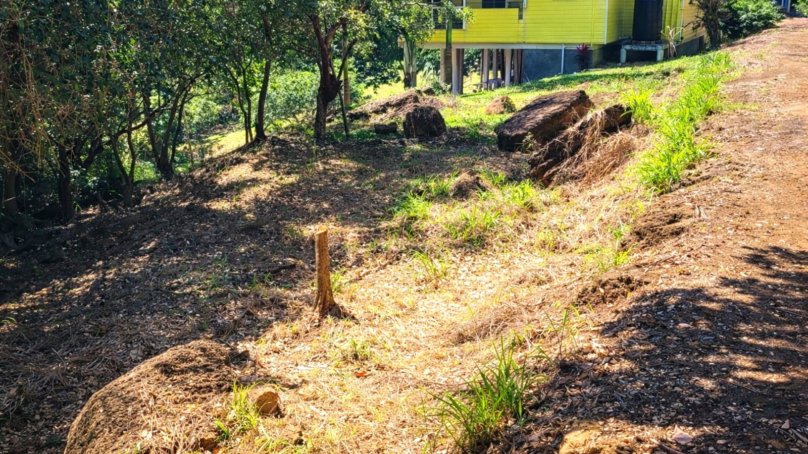 Listing ID: URE0698, Pumpkin Hill Utila, Bay Islands, HN - South View Pumpkin Hill Lot, Photo #