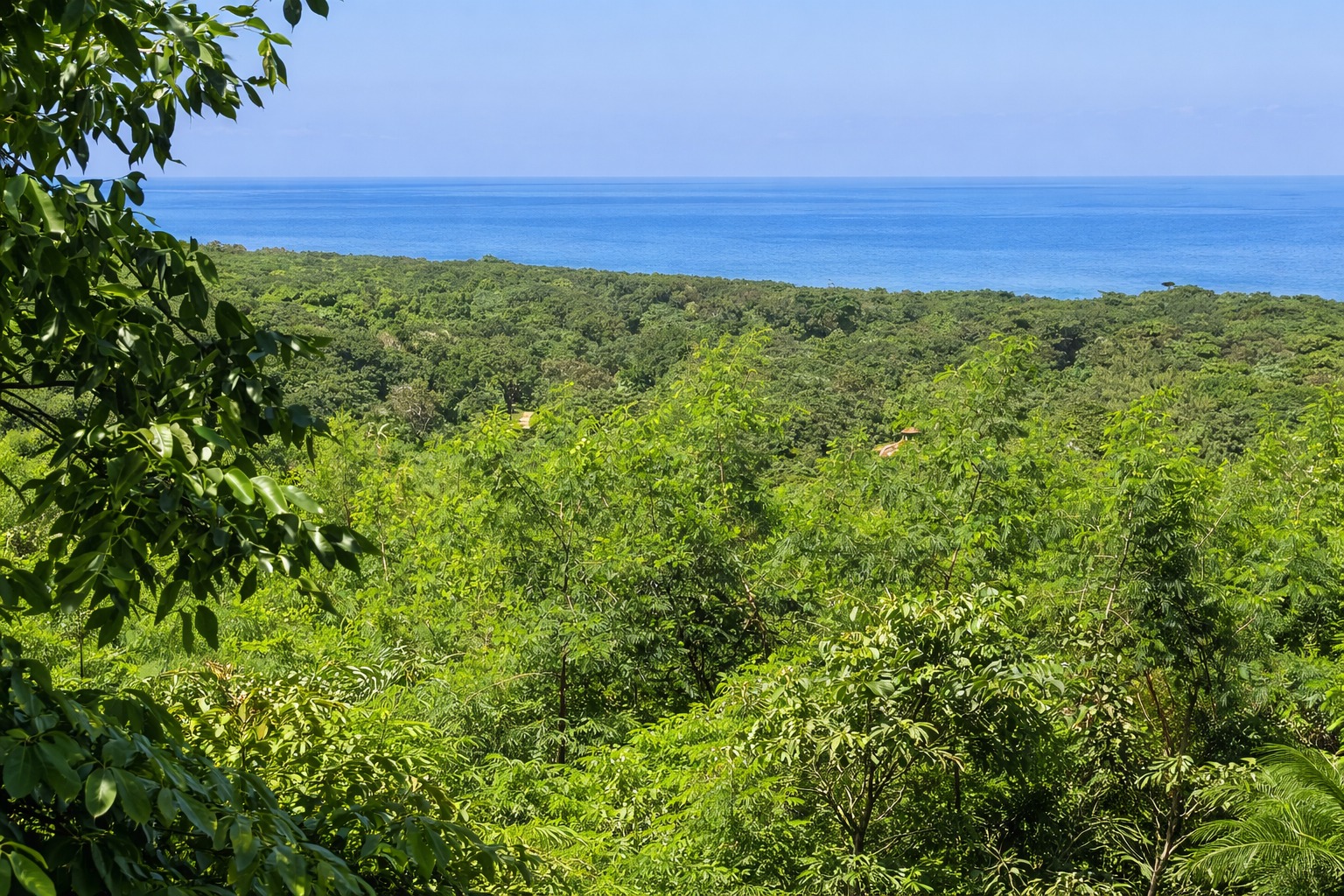 Lot For sale - Utila, Bay Islands - Listing ID: URE0699 - Photo