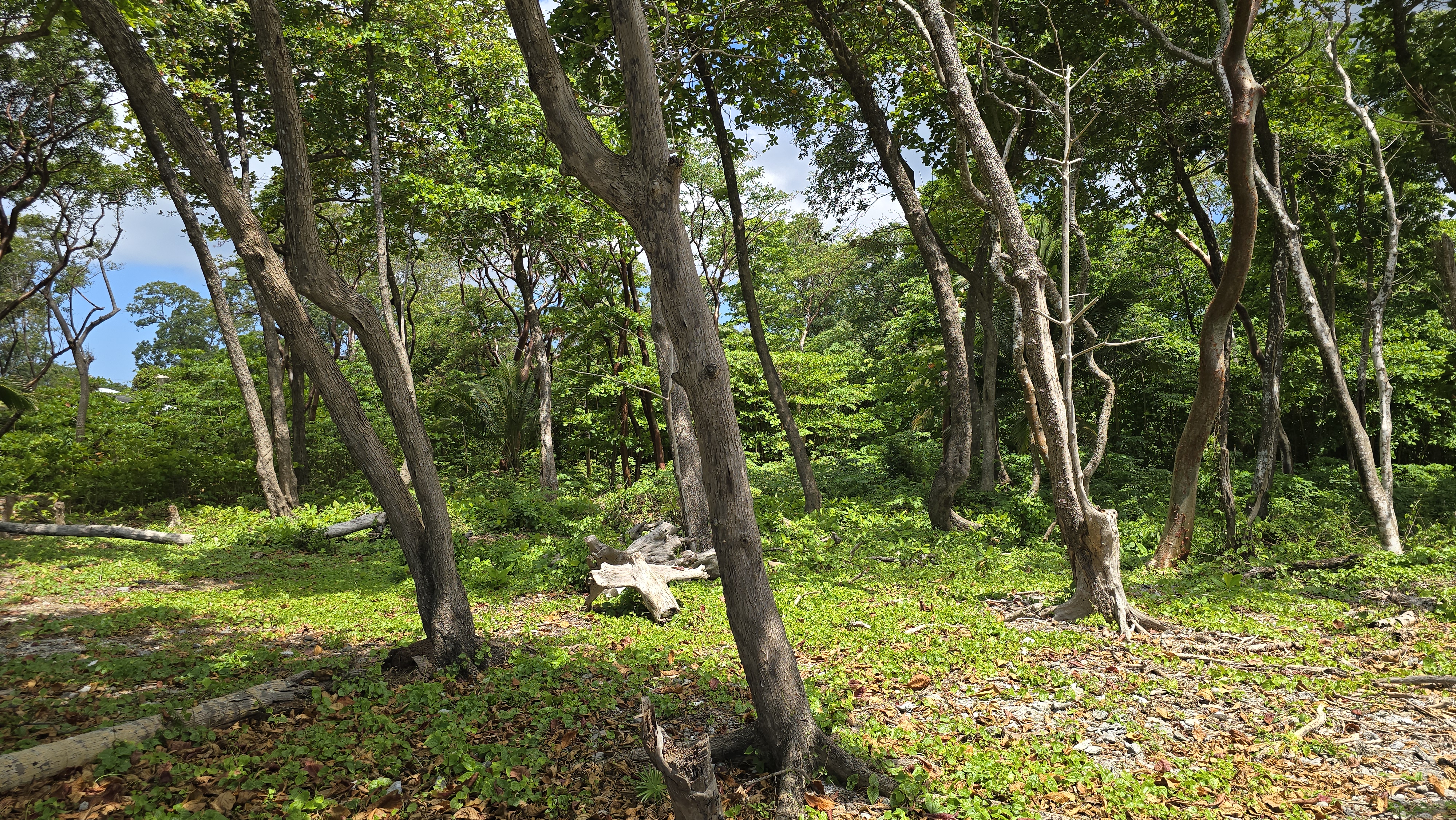 Listing ID: URE0700, Big Rock Utila, Bay Islands, HN - Big Rock Oceanfront Lot No.10, Photo #