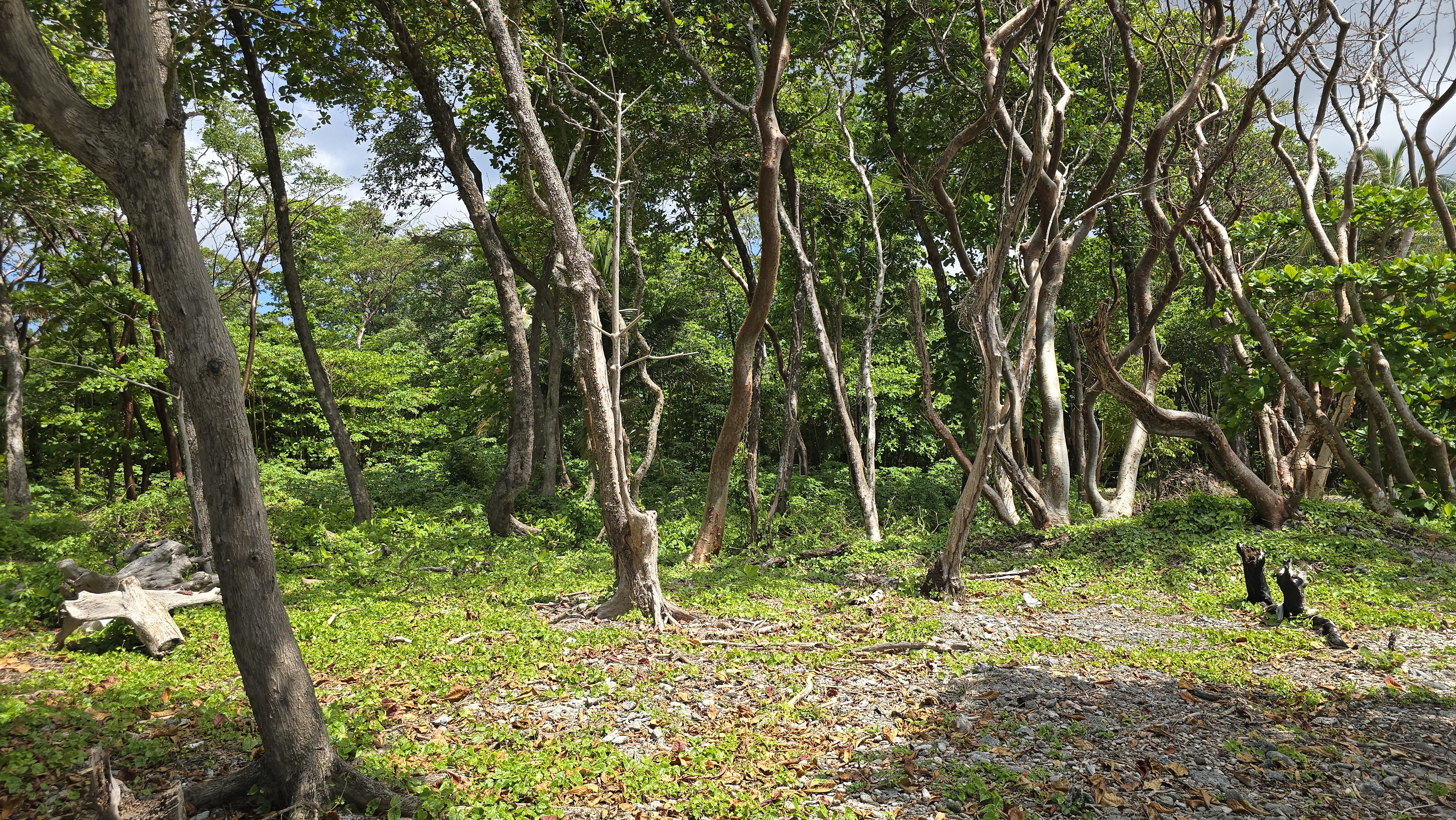 Listing ID: URE0700, Big Rock Utila, Bay Islands, HN - Big Rock Oceanfront Lot No.10, Photo #