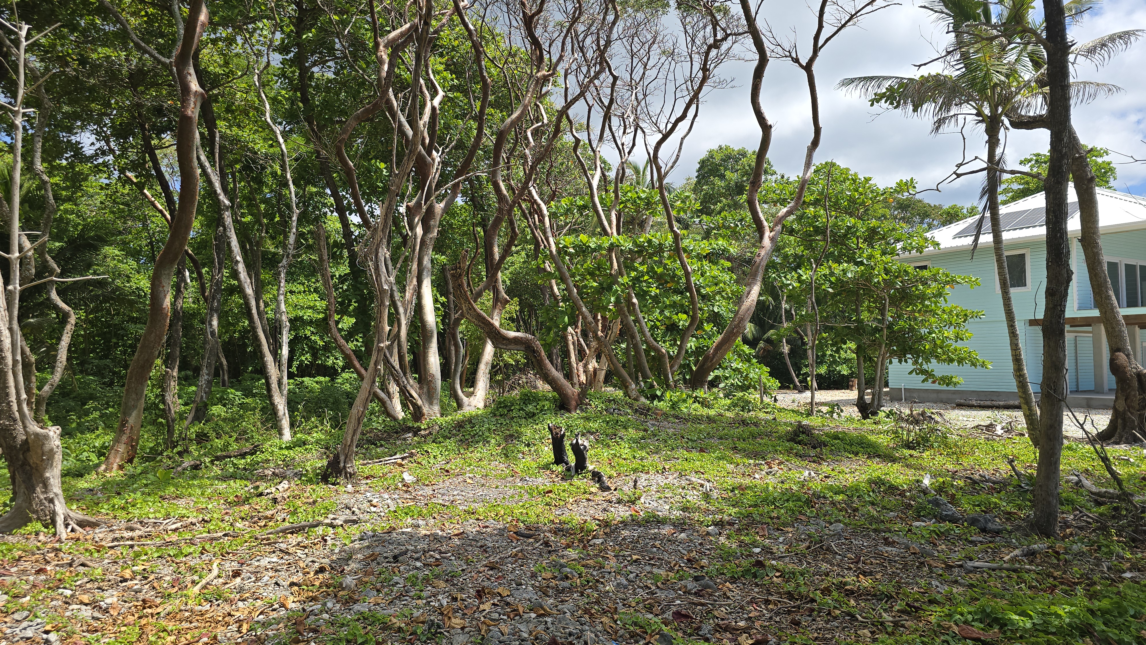 Listing ID: URE0700, Big Rock Utila, Bay Islands, HN - Big Rock Oceanfront Lot No.10, Photo #